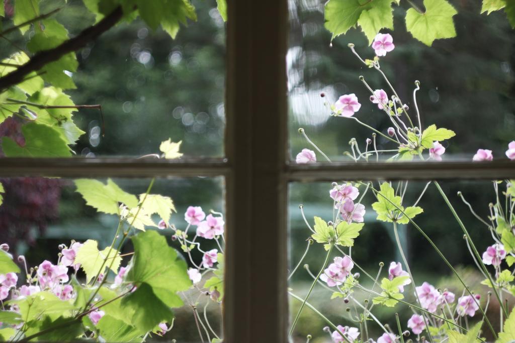 The Dower House Hotel เมียร์ออฟออร์ด ห้อง รูปภาพ