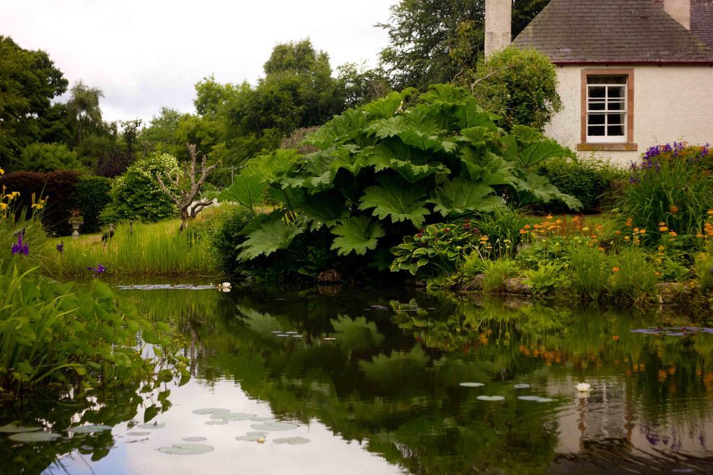 The Dower House Hotel เมียร์ออฟออร์ด ห้อง รูปภาพ
